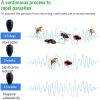 Insect Repellent Pest Control Ultrasonic Set Reject Pro Bug Repeller Home Defender Non-Toxic Pet Safe (Black 2 Pack) 5 Core RR 9006 B 2