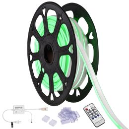 LED Neon Light Strip (Color: As Picture)